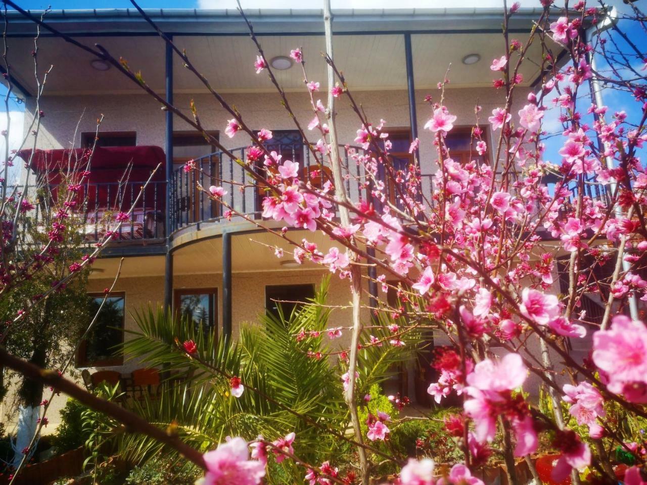 Hostel Sadu Кутаїсі Екстер'єр фото
