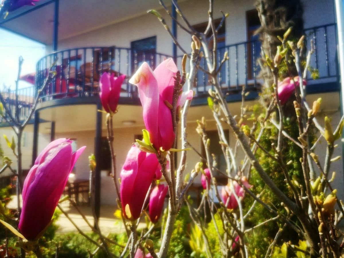 Hostel Sadu Кутаїсі Екстер'єр фото